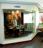 The Fish Bowl